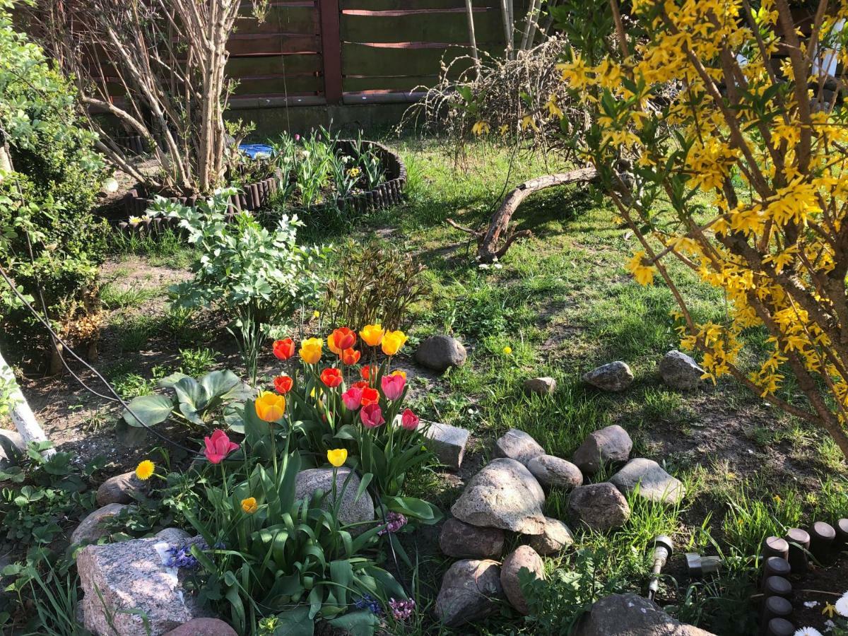 Villa Aida Pokoje Goscinne Gdansk Ngoại thất bức ảnh